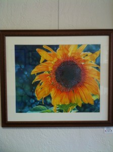 Sunflower by Jeannie Vodden  20" x 27" Framed Giclee Print